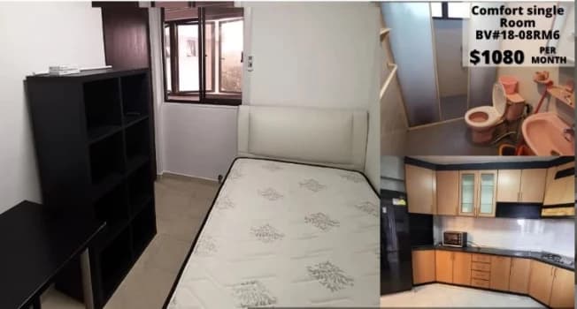 Braddell View photo 1