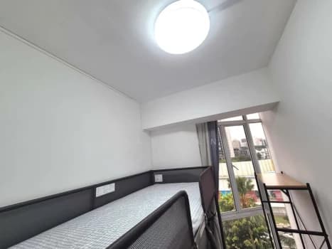 Alessandrea Room 2 photo 2