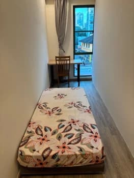 Balestier Road photo 5