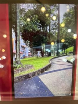 Bukit Purmei Road photo 1