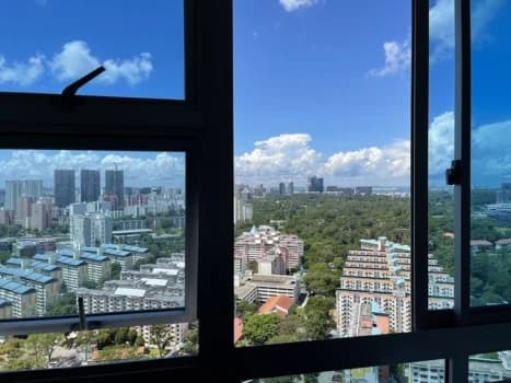 Buona Vista photo 3